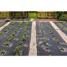 Boen Weed Barrier Mat 48 In X 50 Ft