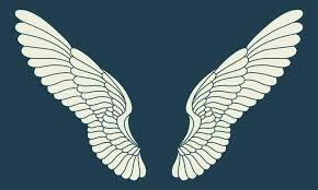 Vector Logo Icon White Angel Wings