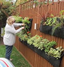 Elderly And Disable Raised Garden Beds