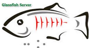 Create New Domain In Glassfish Server