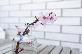 Premium Photo Blooming Almond Branch