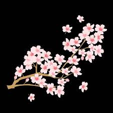 Spring Cherry Blossom Icon Stock Vector