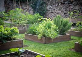 Vegetable Patch