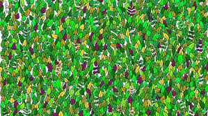 Viral Brain Teaser Can You Find A Frog
