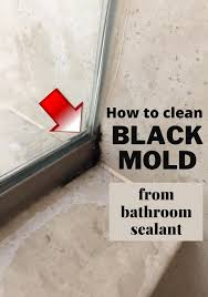 Clean Black Mold From Bathroom Sealant
