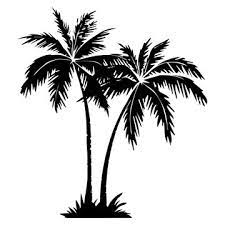 Palm Tree Stencil Images Browse 3 416