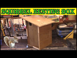 How To Build A Squirrel Nesting Box