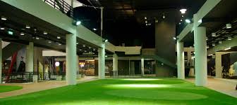 Indoor Artificial Turf