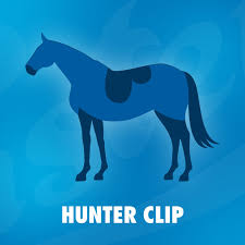 Spring Horse T Essentials Wahl Uk