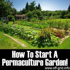 Starting Your Permaculture Garden