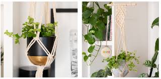 The Best Plants For Macramé Hangers