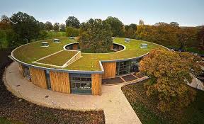 Green Roof Wikipedia