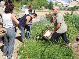 Master Gardeners Of Clark County