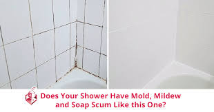 Shower Have Mold Mildew And Soap Scum