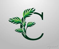 Letter C Monstera Green Plant Icon