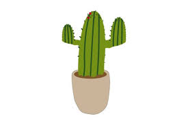 Cactus Plants Aesthetic Icon Graphic By