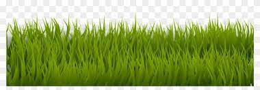 This Free Icons Png Design Of Grass 1