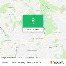 Earth Gardening Services In Carshalton