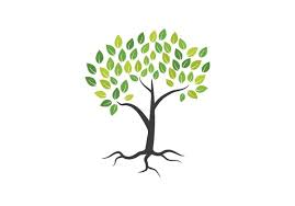 Tree Icon Concept Stock Vector By