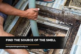 Septic System Smells Your Nose Knows