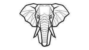100 000 Elephant Tusk Vector Images