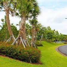 Landscape Architecture Florida S Turnpike