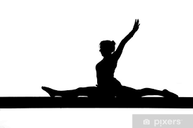 wall mural silhouette of female gymnast