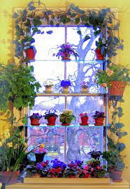 Window Garden Gallery Garden Design