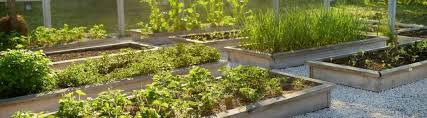 Raised Bed Soil Calculator Determine