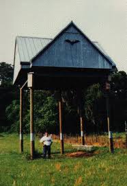 The University Of Florida Bat House