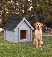 Medium Dog House Plans Canada