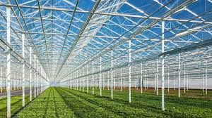 How To Start A Greenhouse Business Truic