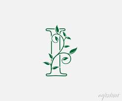 Nature Letter I Leaf Icon Logo Design