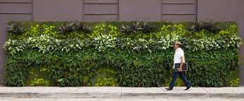 Custom Artificial Green Wall