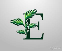 Letter E Monstera Green Plant Icon