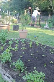 Vegetable Garden Garden Gardening Tips