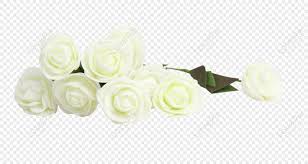White Rose Icon Png Images With