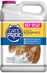 Scoopable Cat S Pride