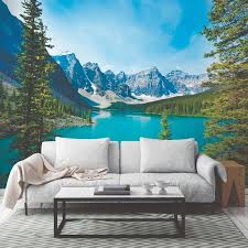 Brewster Lake Moraine Wall Mural