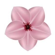 Pink Flower Icon Png Images Vectors