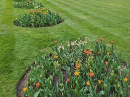 Steel Garden Lawn Edging Australia