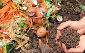 Backyard Compost Bin With Your Kids
