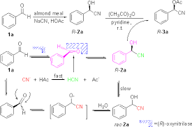 Direct Use Of Nacn And Aldehydes In One