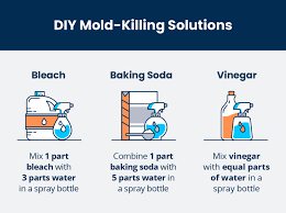 Remove Mold On Any Type Of Drywall