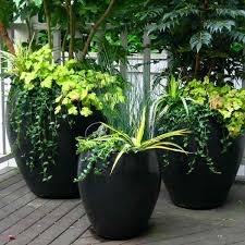 Container Gardening Services In Seattle