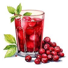 Tangy Cranberry Juice Drink Showcasing