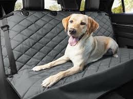 The 10 Best Dog Car Seat Covers To