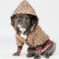 Pawcci Dolce Luxury Dog Jacket With