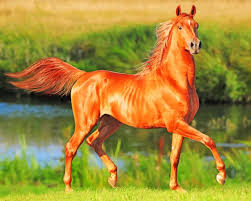 Beautiful Running Chestnut Horse