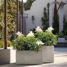 Modern 12in 16in High Large Tall Elongated Square Pale Yellow Outdoor Cement Planter Plant Pots Set Of 2